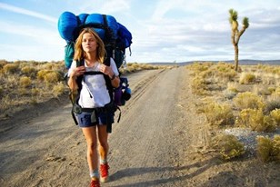 Qui connaît un film qui donne envie de voyager ? Un peu dans le même style que "Wild" avec Reese Witherspoon.