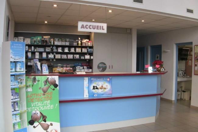 Une bonne clinique vétérinaire à Nantes ou à maximum une demi-heure de route ? Nous cherchons une vraie clinique avec TOUT l'équipement nécessaire pour opérer si c'est nécessaire.