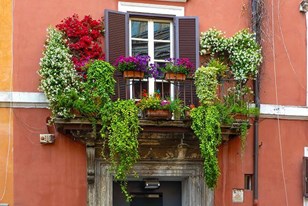 Envie de fleurir ma terrasse ! Où trouver des graines à prix raisonnables sur Nice ? Pépinières ou fleuristes ?